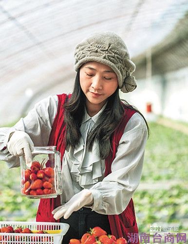 ̨ũ�δ�½�׼ҡ���ݮҽԺ��Ժ��